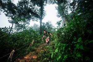 BIB: 
                            <button type="button" onclick="openModal(26203278)" class="btn btn-primary btn-sm float-right btn-popup" data-toggle="modal" data-target=".modal-high-quality">
                        <i class="fas fa-shopping-cart"></i> Add to Cart
                    </button>
                                            <button type="button" onclick="isThisMe(26203278, true)" class="btn btn-success btn-sm float-right btn-popup btn-isme hidden" data-toggle="tooltip" data-placement="bottom" title="นี่คือรูปของคุณใช่ไหม คลิกที่นี่เพื่อเอาเข้าอัลบั้ม">
                        <i class="fas fa-plus"></i> Add to album
                    </button>
                    <button type="button" onclick="isThisMe(26203278, false)" class="btn btn-warning btn-sm float-right btn-popup btn-isnotme hidden">
                        <i class="fas fa-ban"></i> Remove from album
                    </button>